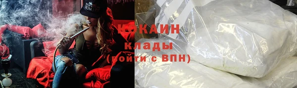 СК Алексин